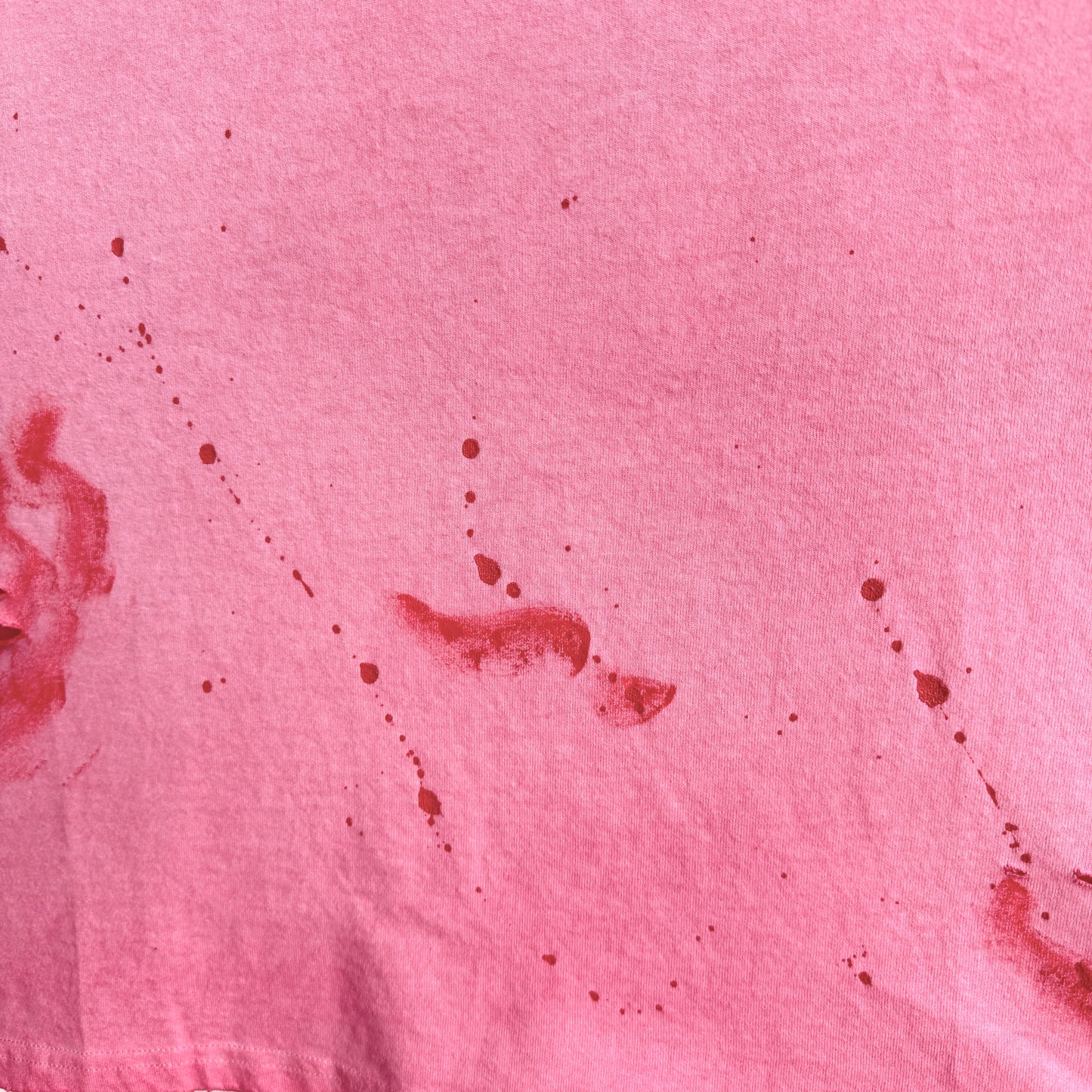 Saint Louis Raw Edge Pink Graphic T-Shirt
